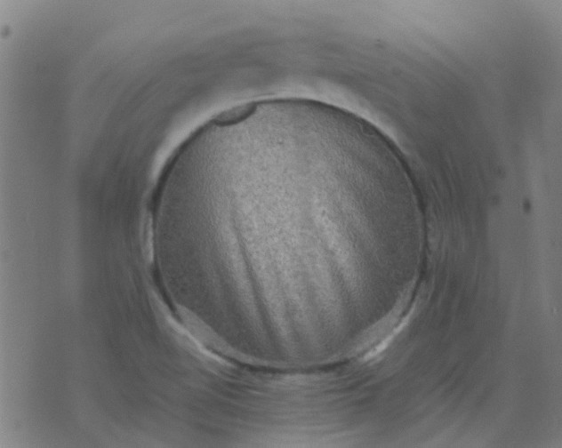 X0000074291510200609081839