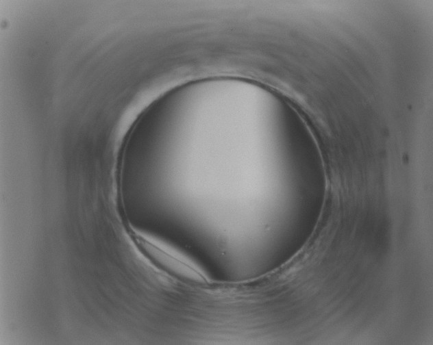 X0000074291512200609081839