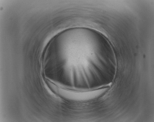 X0000074291515200609081839