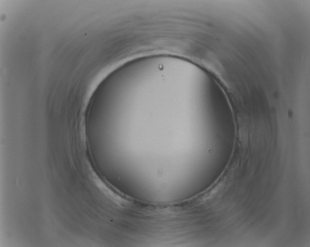 X0000074291516200609081839