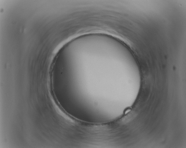 X0000074291518200609081839