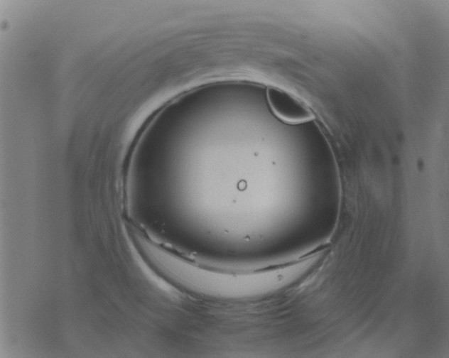 X0000074291519200609081839