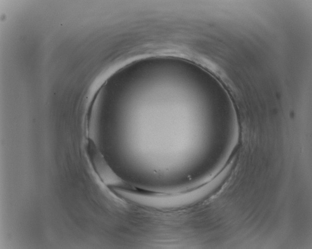 X0000074291520200609081839