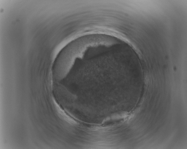 X0000074291522200609081839