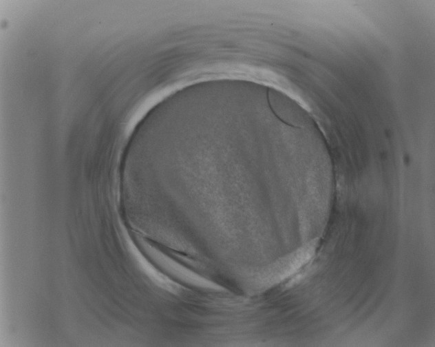 X0000074291523200609081839