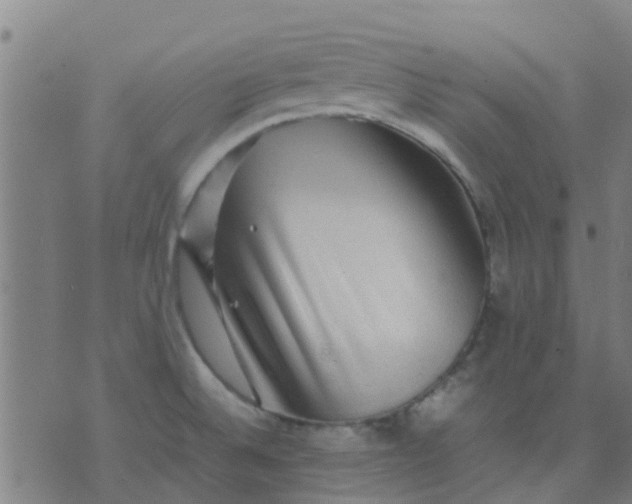 X0000074291524200609081839