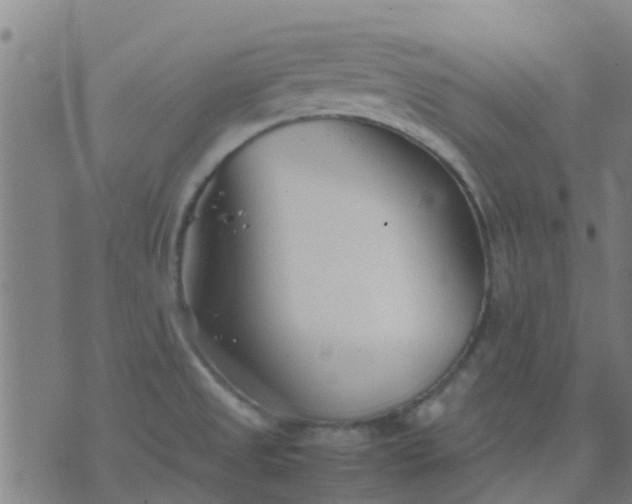 X0000074291525200609081839