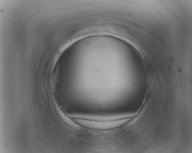 X0000074291526200609081839