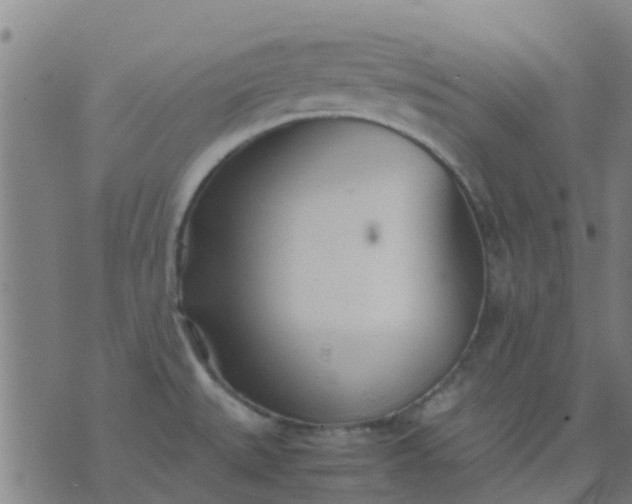 X0000074291527200609081839