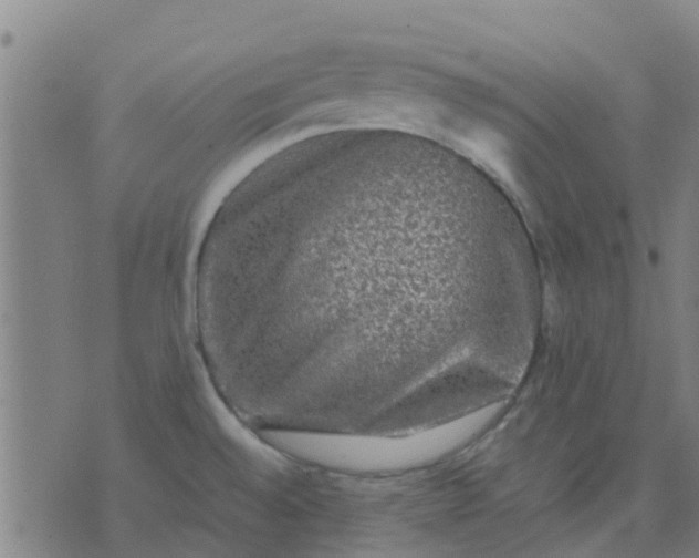 X0000074291528200609081839