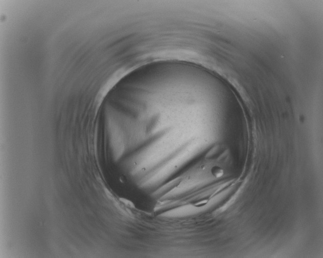 X0000074291529200609081839