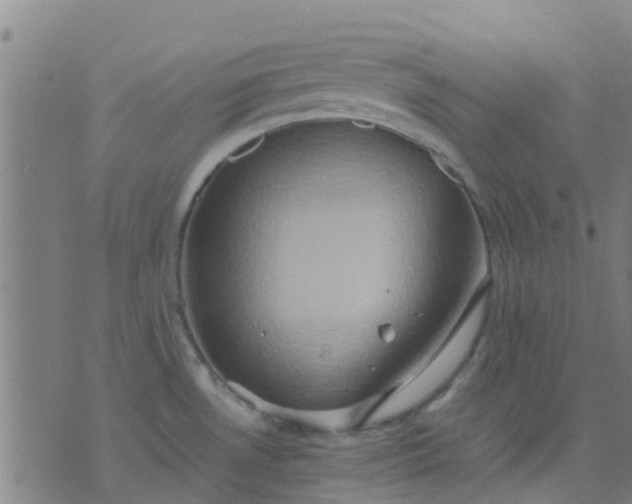 X0000074291530200609081839