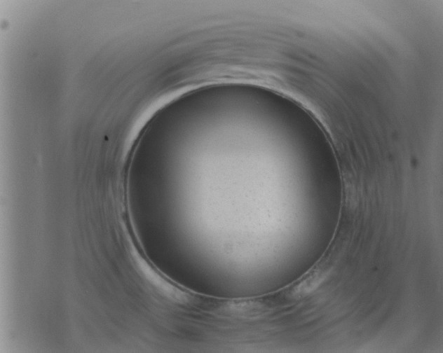 X0000074291531200609081839