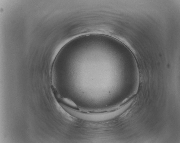 X0000074291532200609081839