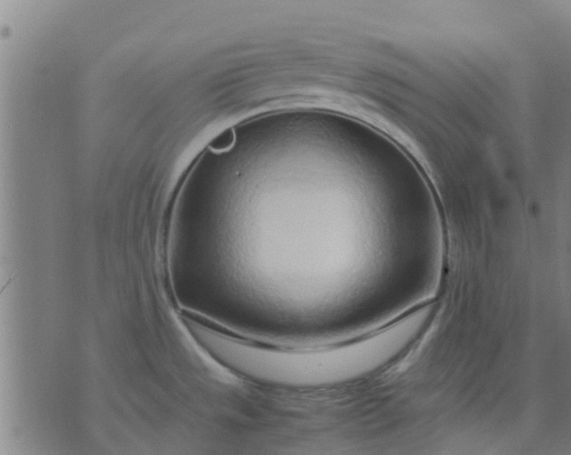 X0000074291533200609081839