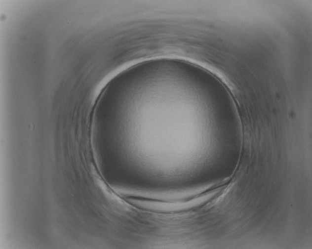 X0000074291534200609081839