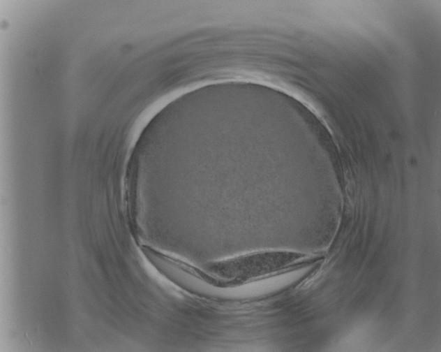 X0000074291535200609081839