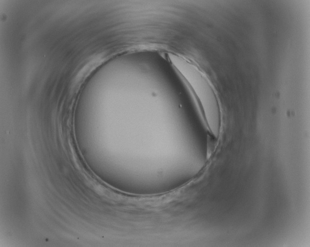 X0000074290001200609151928