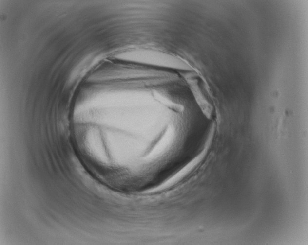 X0000074290002200609151928