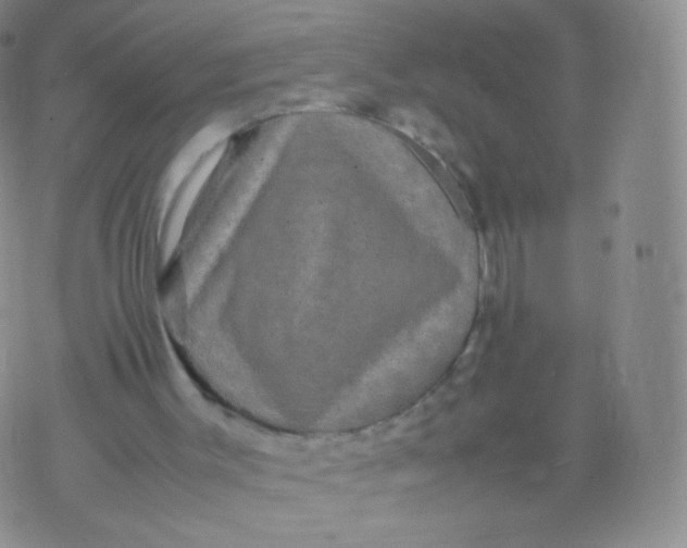 X0000074290003200609151928