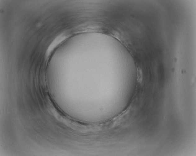 X0000074290004200609151928