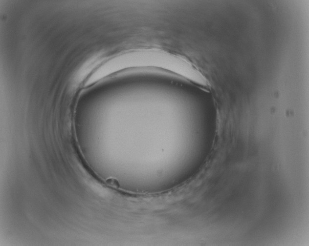 X0000074290005200609151928