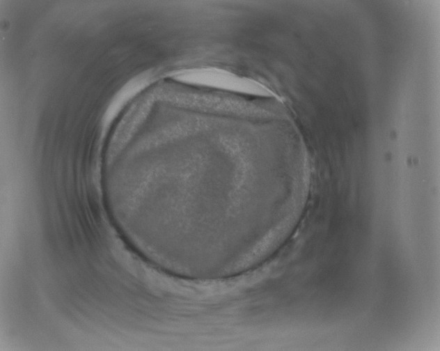 X0000074290006200609151928