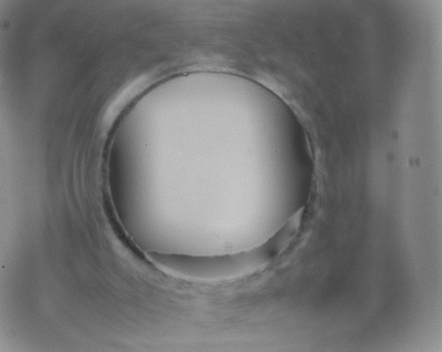 X0000074290007200609151928