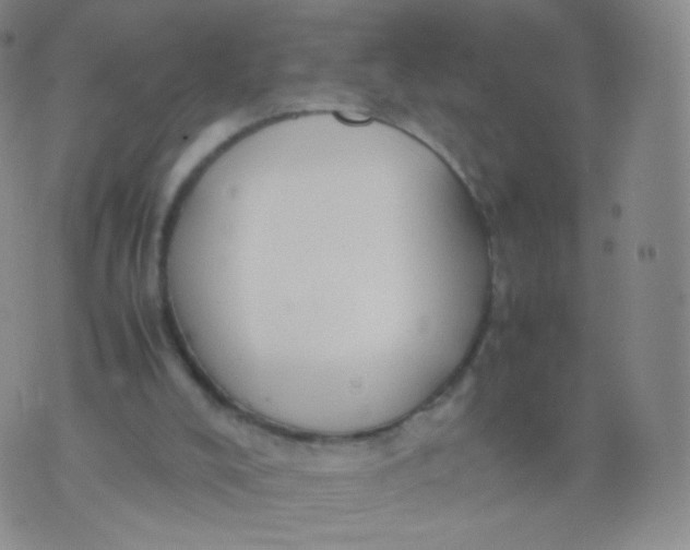 X0000074290008200609151928