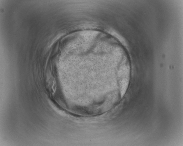 X0000074290009200609151928