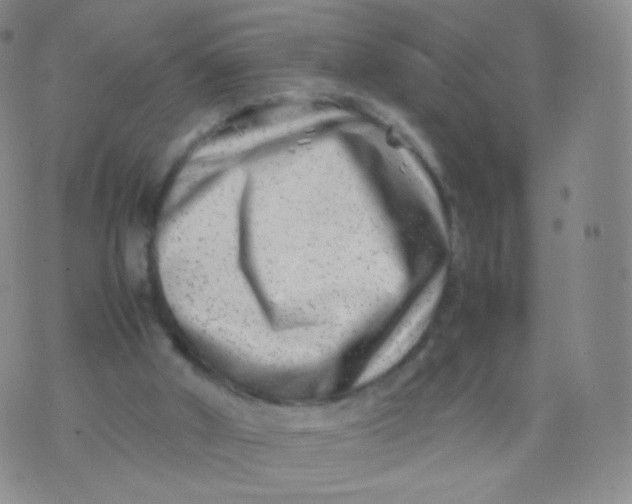 X0000074290010200609151928