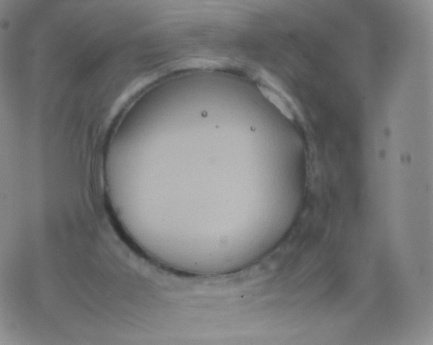 X0000074290011200609151928