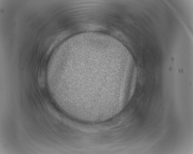 X0000074290012200609151928