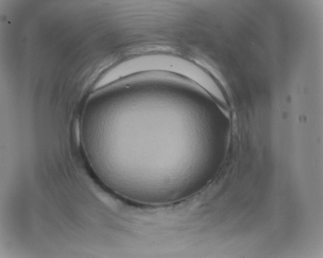 X0000074290013200609151928