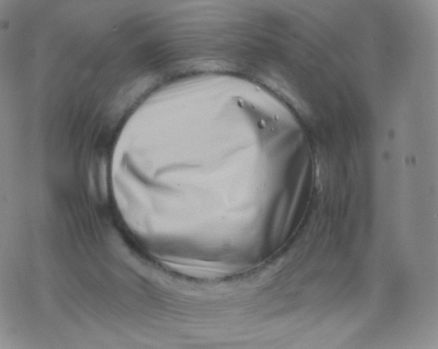 X0000074290014200609151928