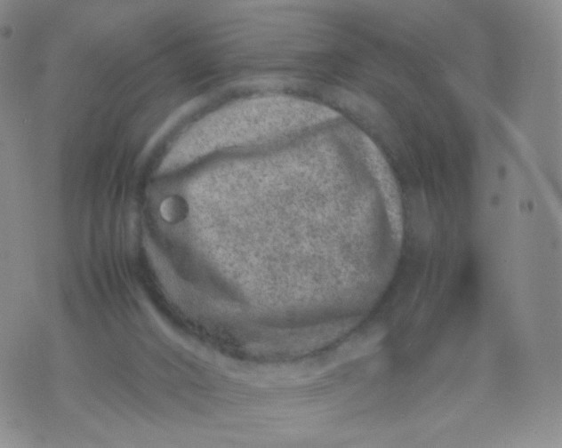 X0000074290016200609151928