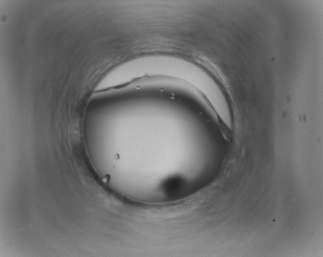 X0000074290017200609151928