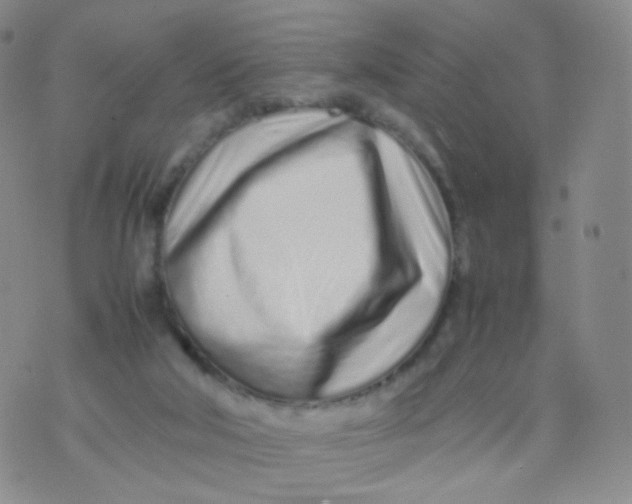 X0000074290018200609151928