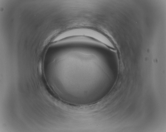 X0000074290019200609151928