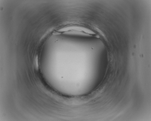 X0000074290020200609151928