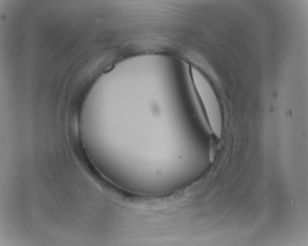 X0000074290021200609151928