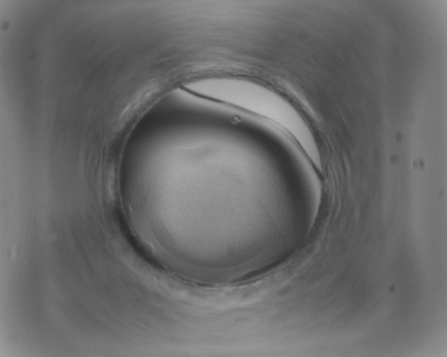 X0000074290023200609151928