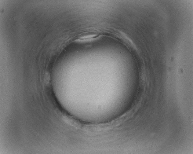 X0000074290025200609151928