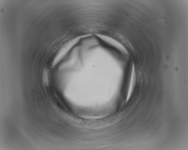 X0000074290026200609151928