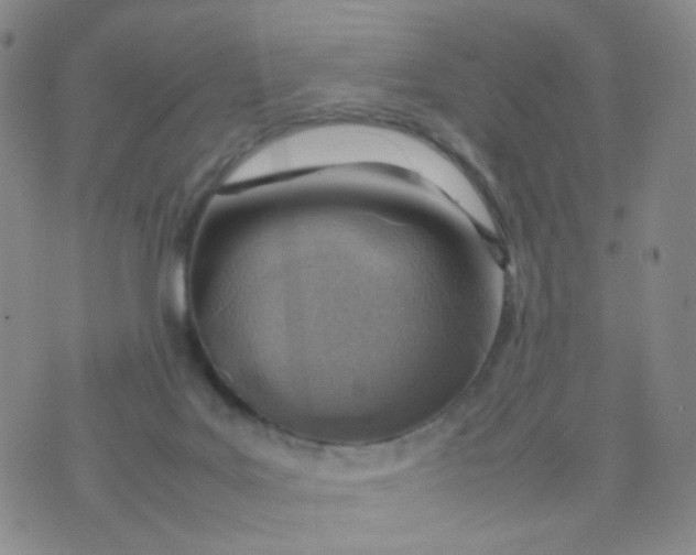 X0000074290027200609151928