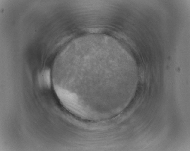 X0000074290028200609151928