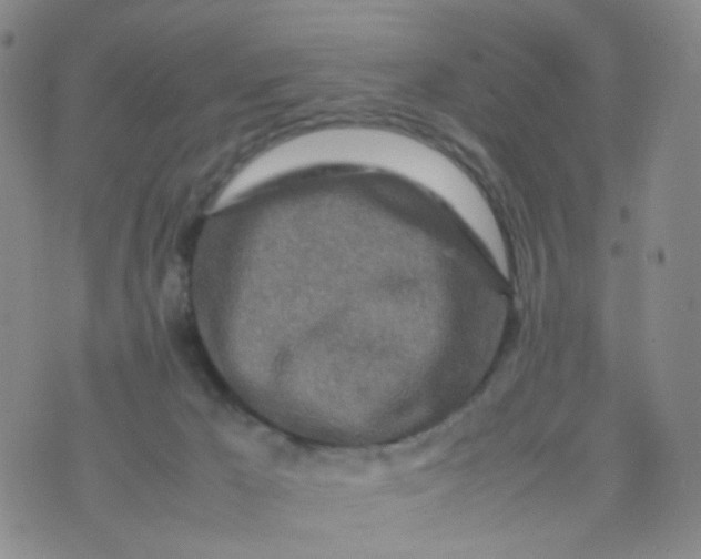 X0000074290029200609151928