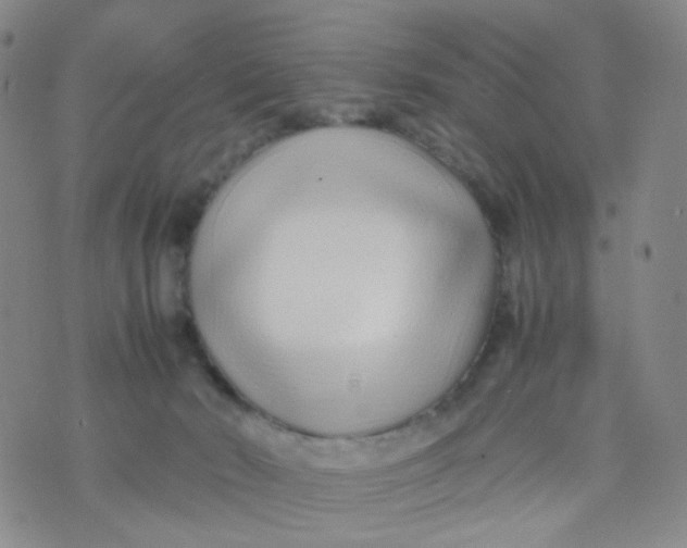 X0000074290030200609151928