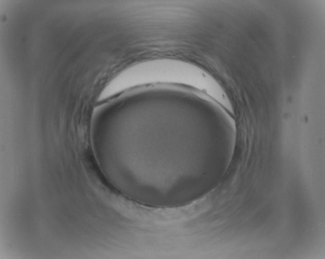 X0000074290031200609151928