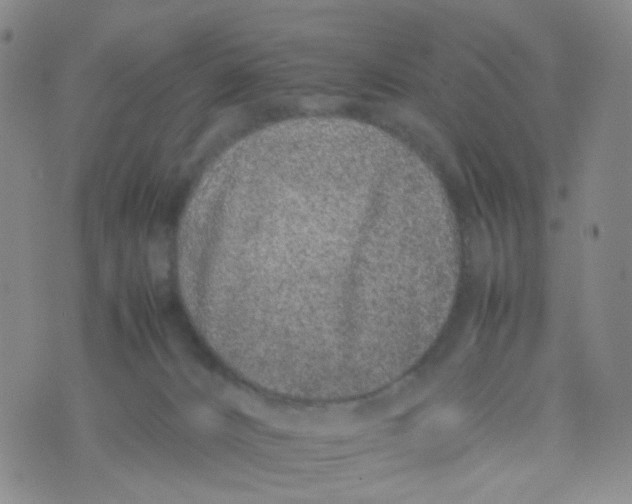 X0000074290032200609151928